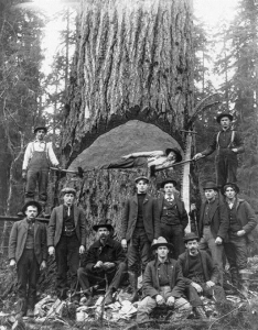 Historical Trades: Saddlery, Logging, Coopering, Blacksmithing ...