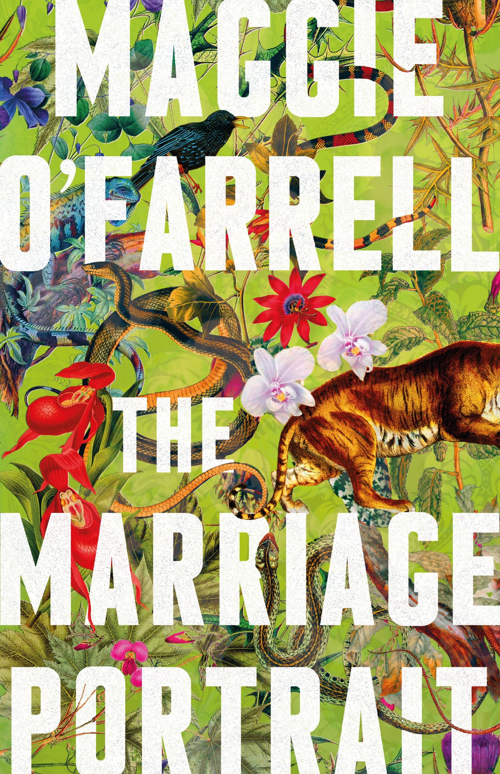 A Study of Violence: Maggie O'Farrell's The Marriage Portrait - Historical  Novel Society